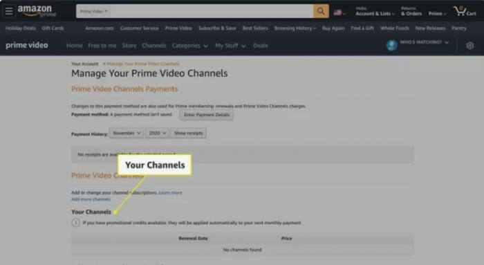 What is an add 2024 on subscription from amazon